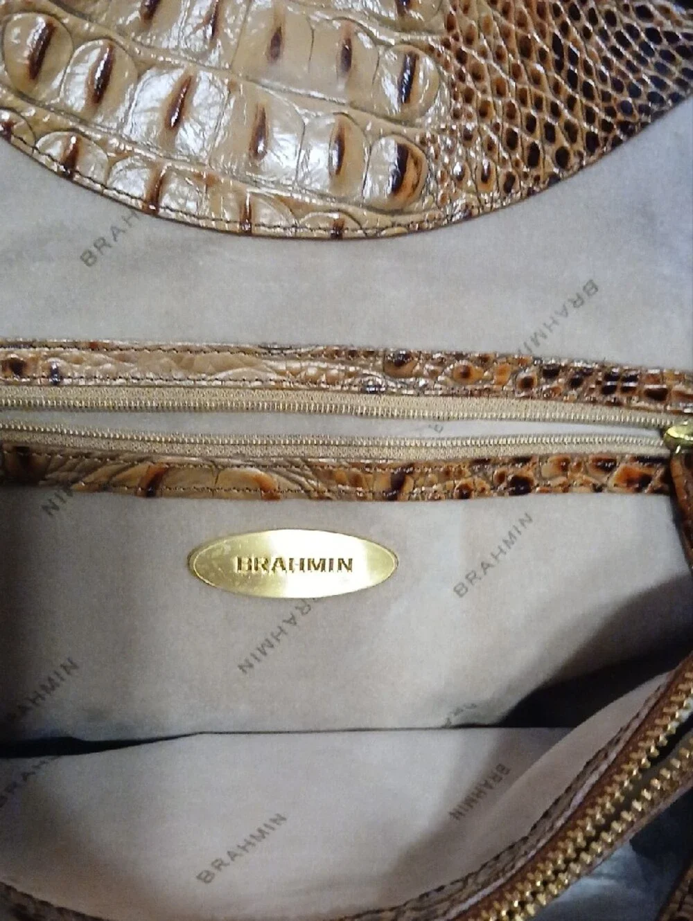 Brahmin Croc-Embossed Hobo in Tan and Brown Ombre